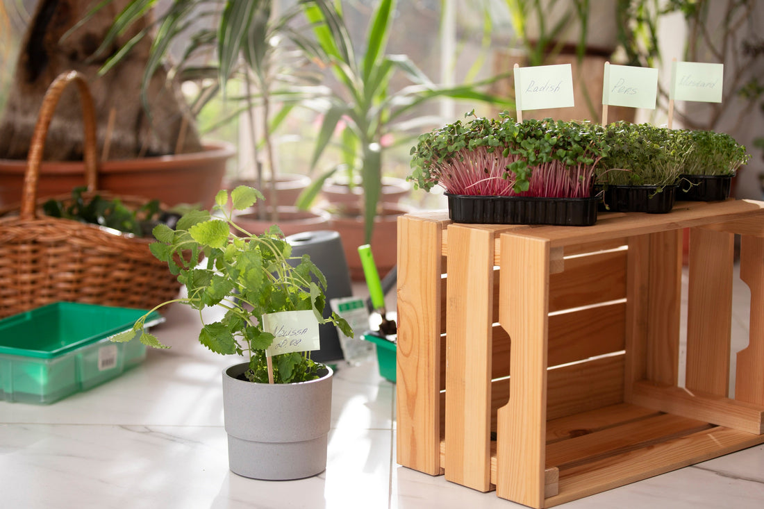 Smart Home & Garden Organizers for a Cleaner, More Beautiful Space