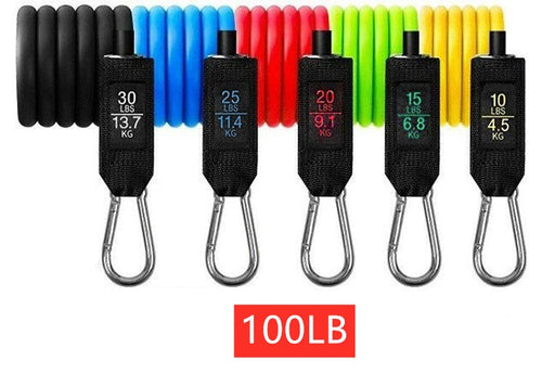 PowerFit Resistance Band Set